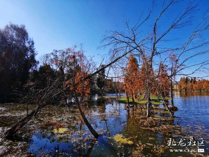 霍奇森：理解球迷们的沮丧之情，但我们已经尽了最大的努力